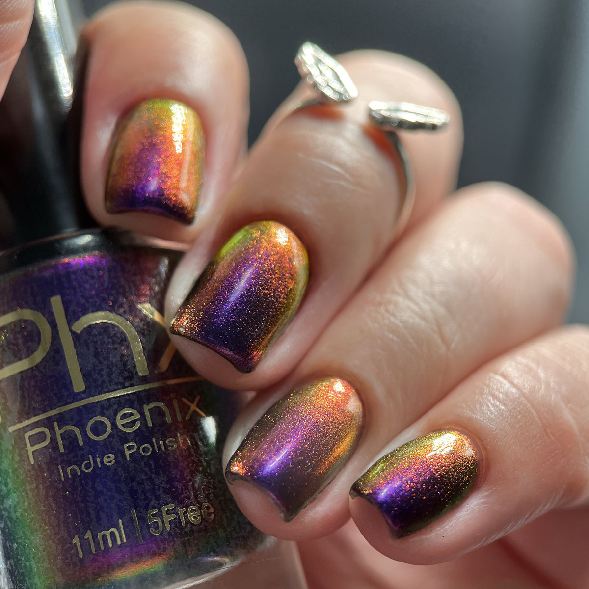 Phoenix- Hummingbirds- Costa&#39;s Hummingbird