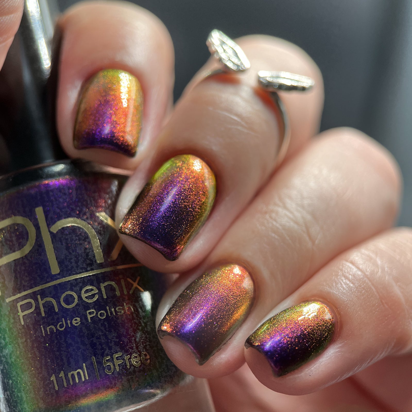 Phoenix- Hummingbirds- Costa's Hummingbird