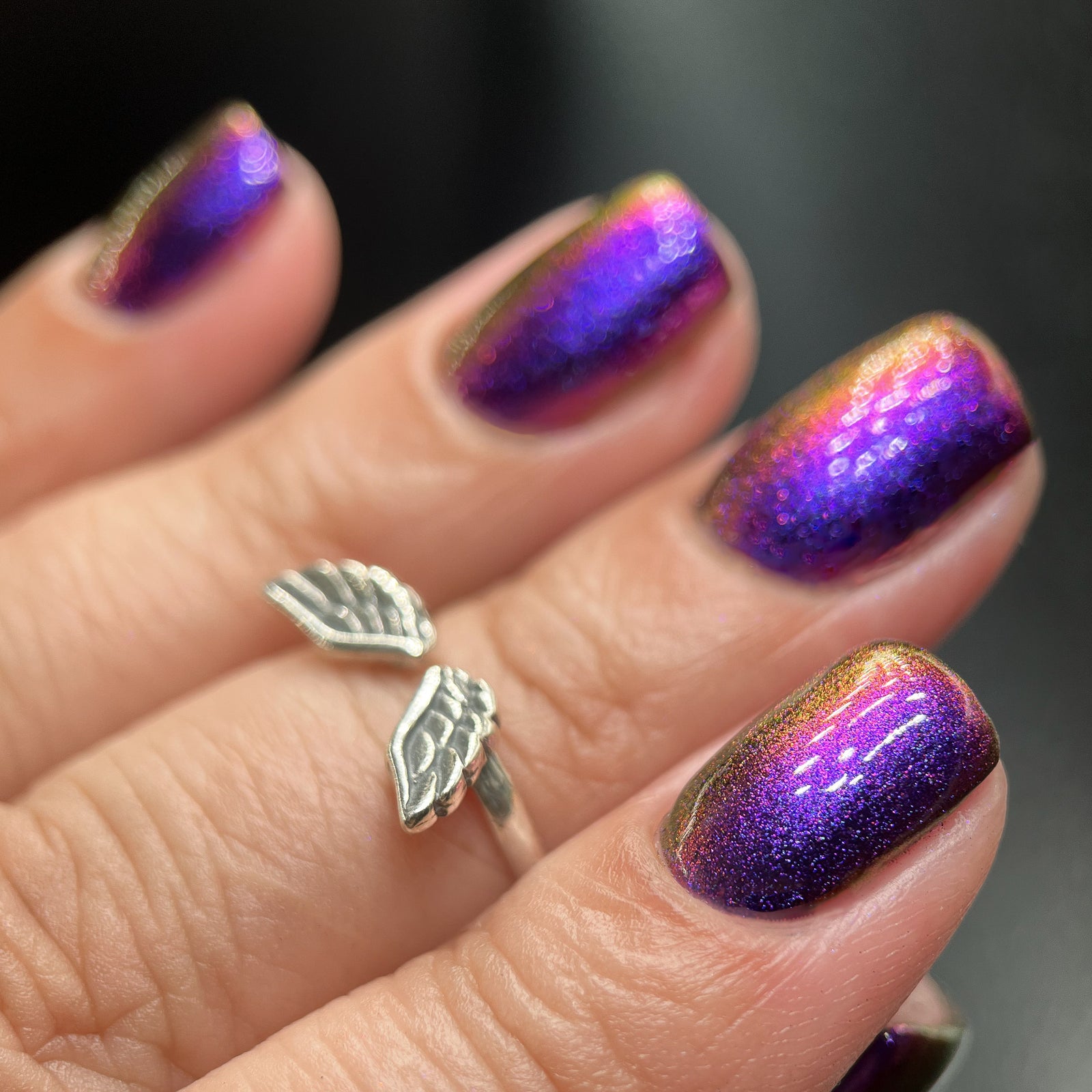 Phoenix- Hummingbirds- Costa's Hummingbird