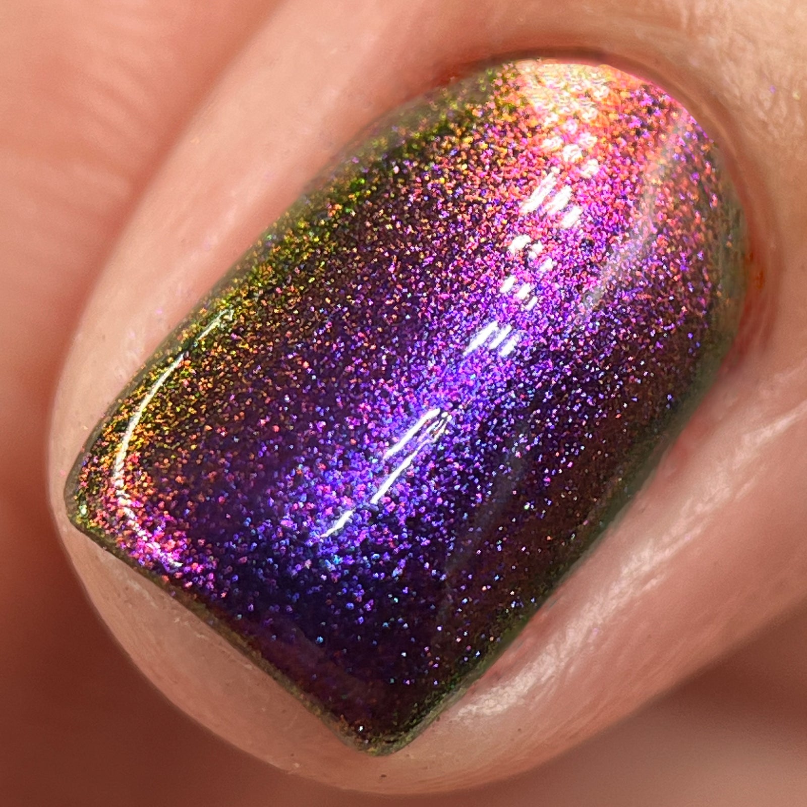 Phoenix- Hummingbirds- Costa's Hummingbird