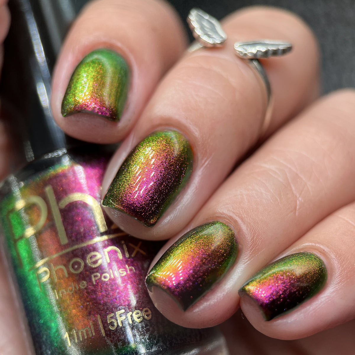 Phoenix- Hummingbirds- Broad Tiled Hummingbird