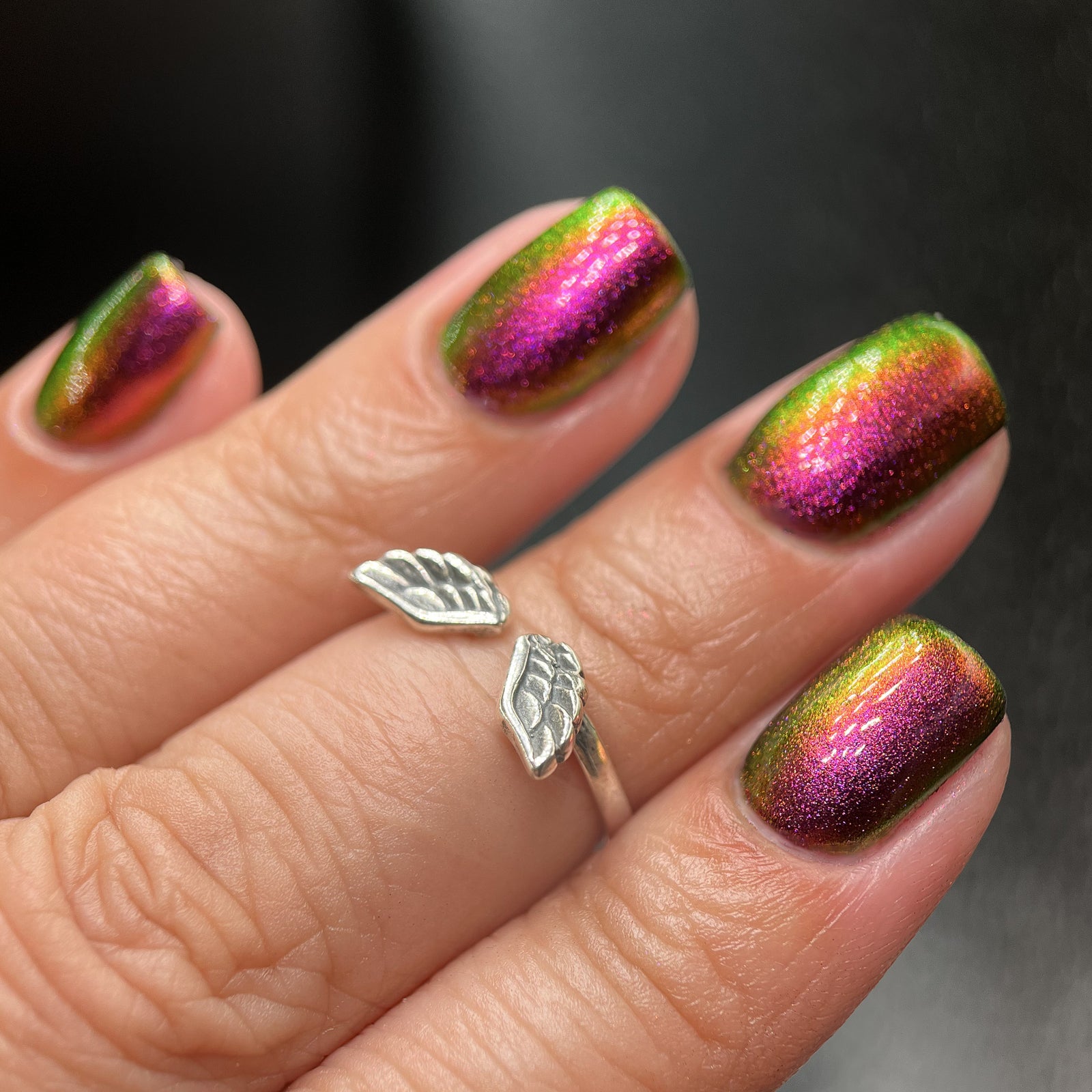 Phoenix- Hummingbirds- Broad Tiled Hummingbird