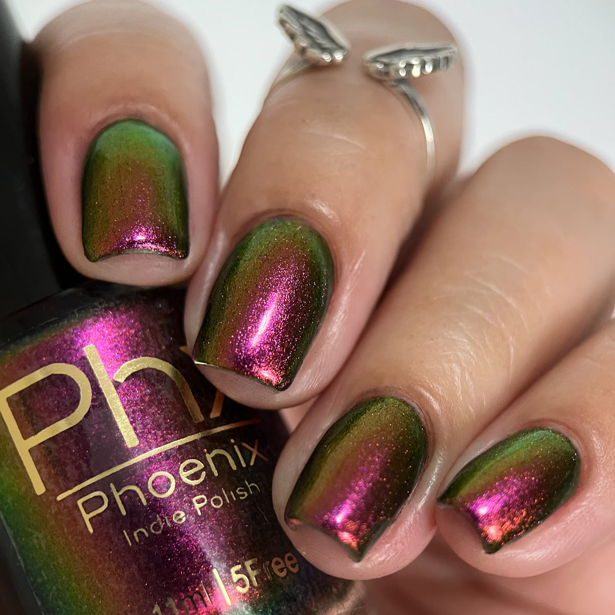 Phoenix- Hummingbirds- Broad Tiled Hummingbird