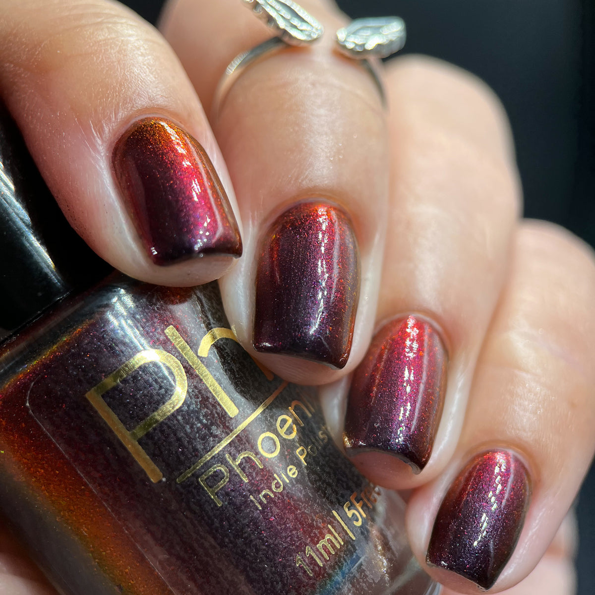 Phoenix- Hummingbirds- Florisuga Fusca