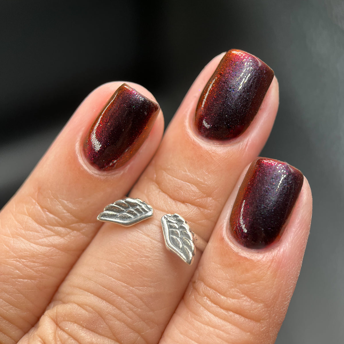 Phoenix- Hummingbirds- Florisuga Fusca