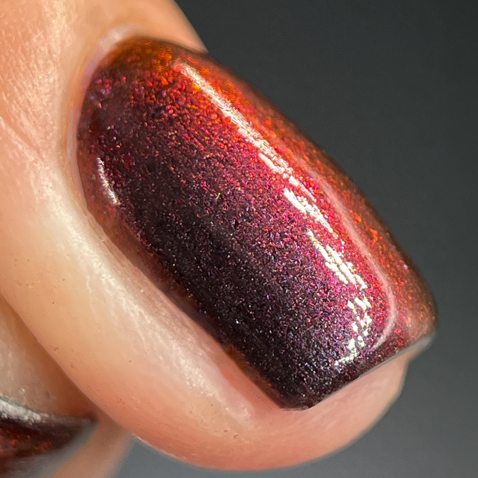 Phoenix- Hummingbirds- Florisuga Fusca