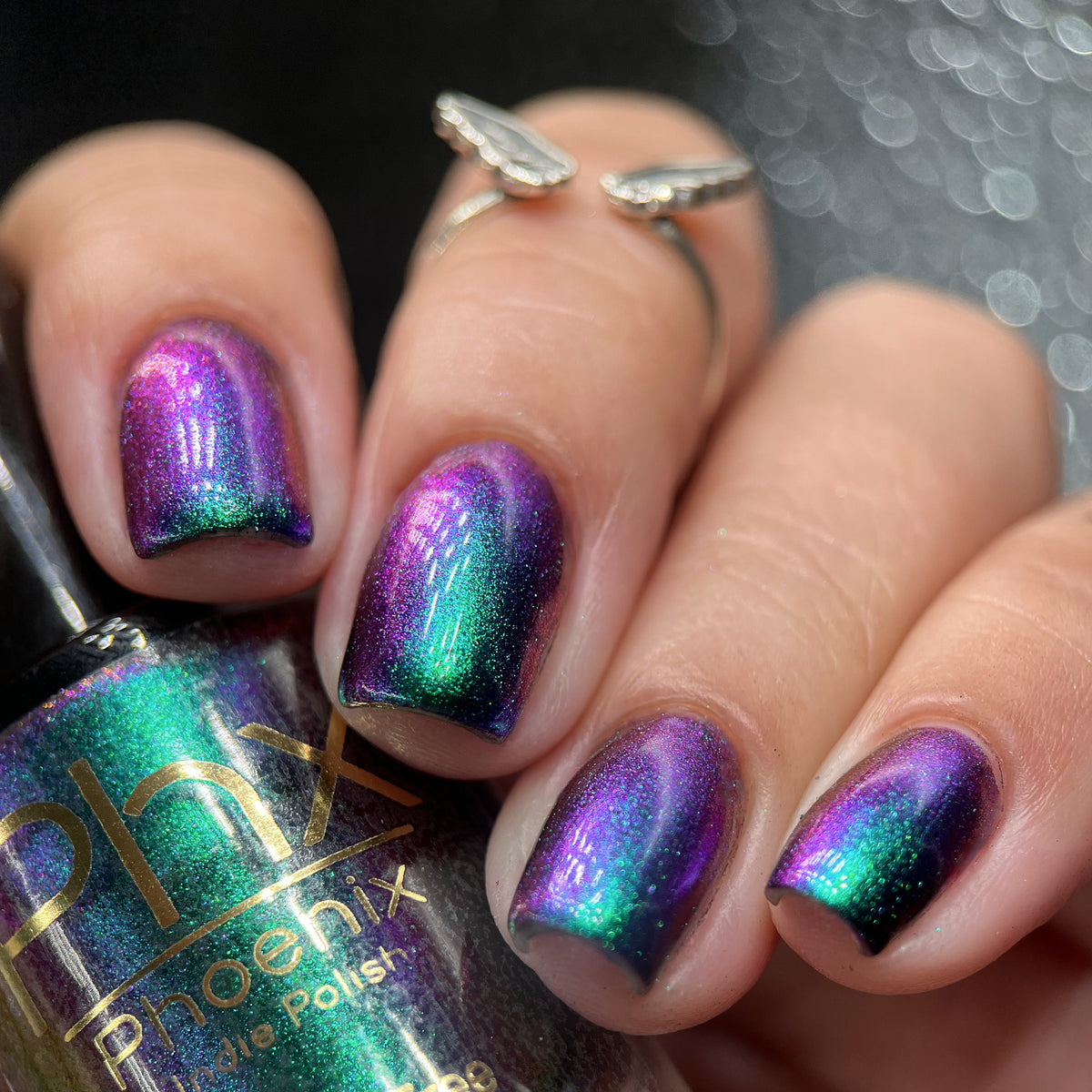 Phoenix- Hummingbirds- Violet Sabrewing Hummingbird