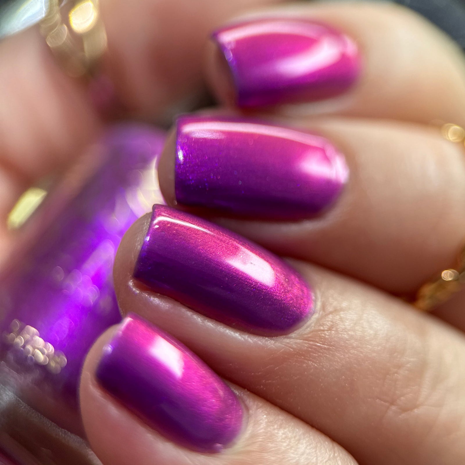 Phoenix- A Special Christmas- Raise Your Hands