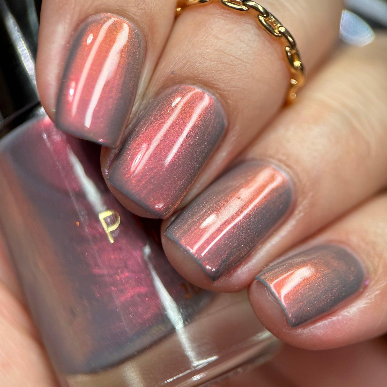 Phoenix- A Special Christmas- Reindeer Groot