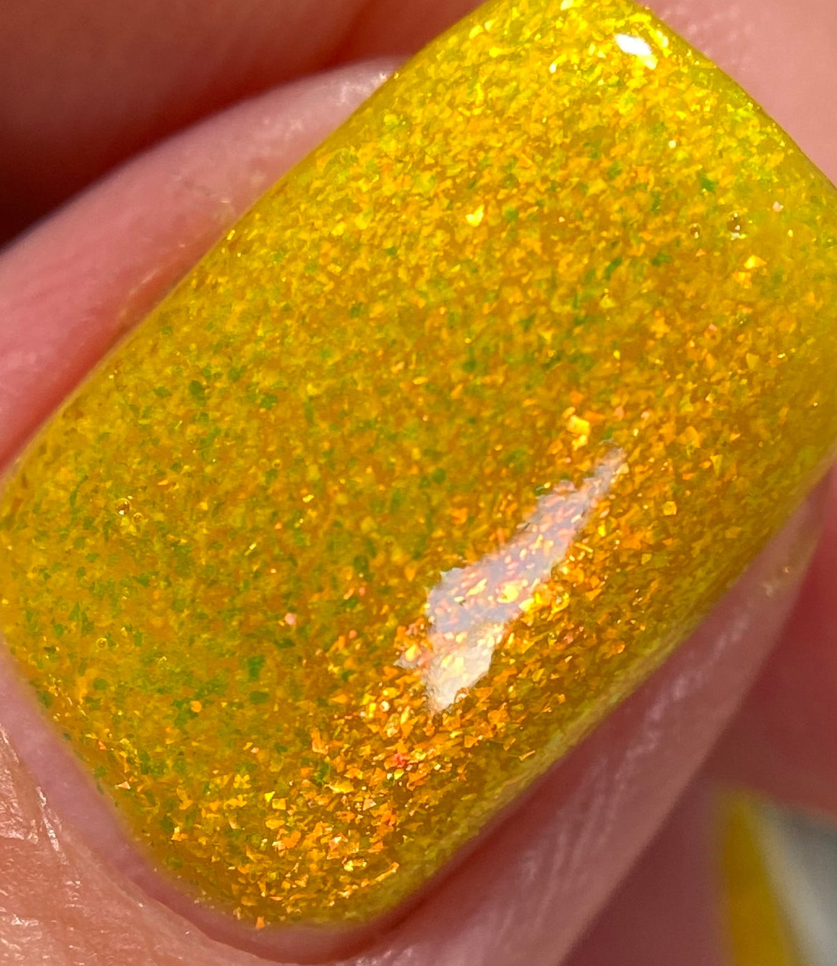 Phoenix- Paint the Town Red- Alice