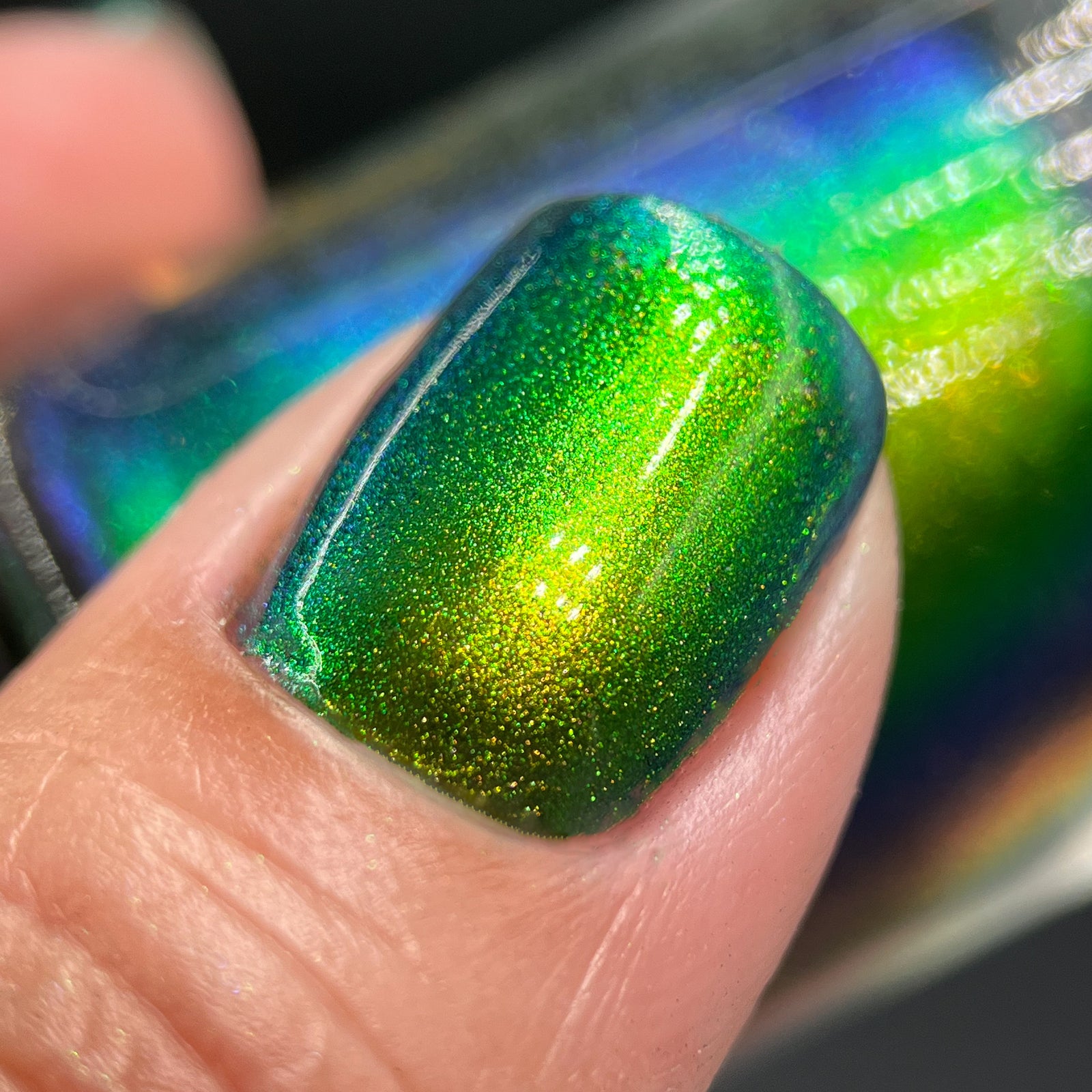 Phoenix- Hummingbirds- Green Breasted Mango