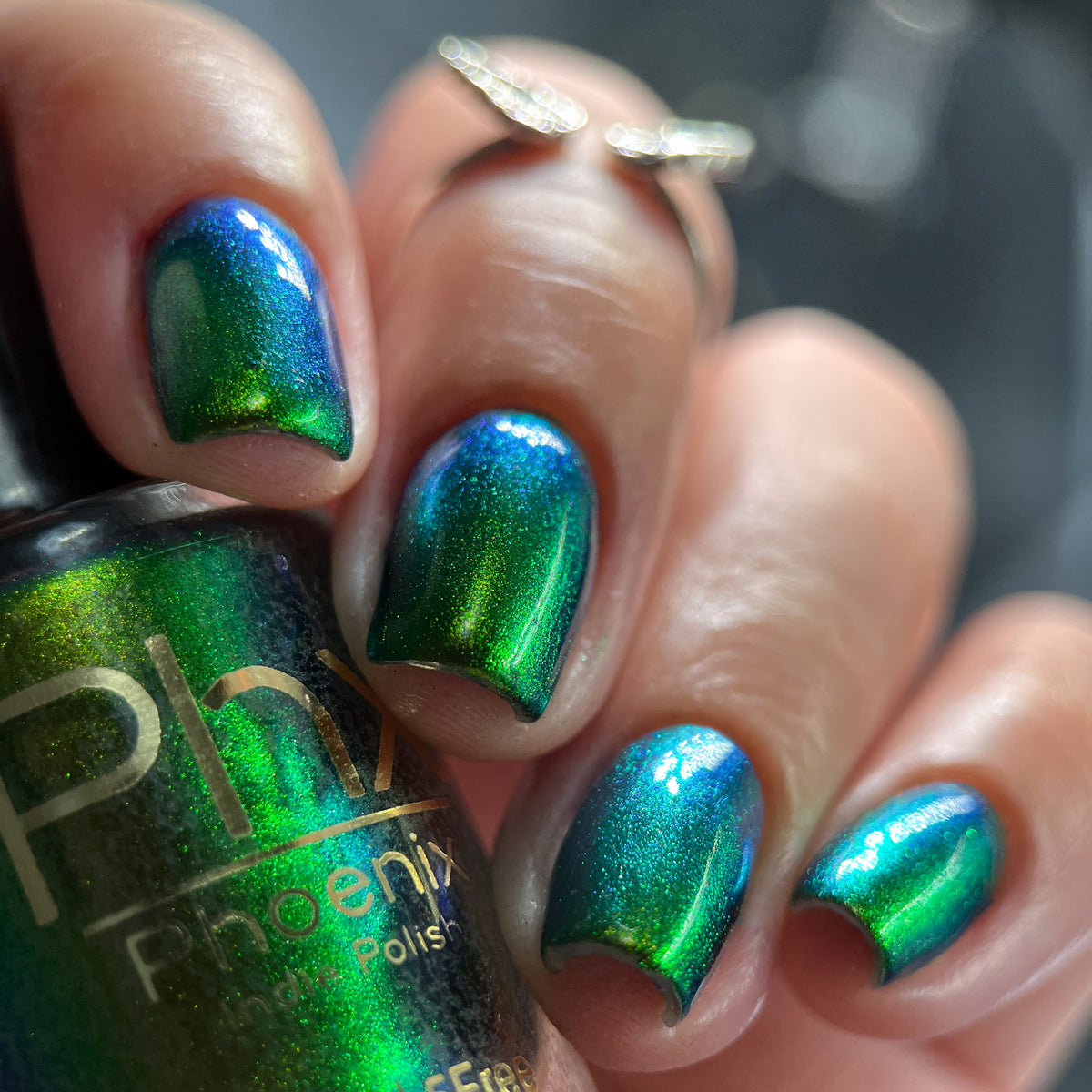 Phoenix- Hummingbirds- Green Breasted Mango