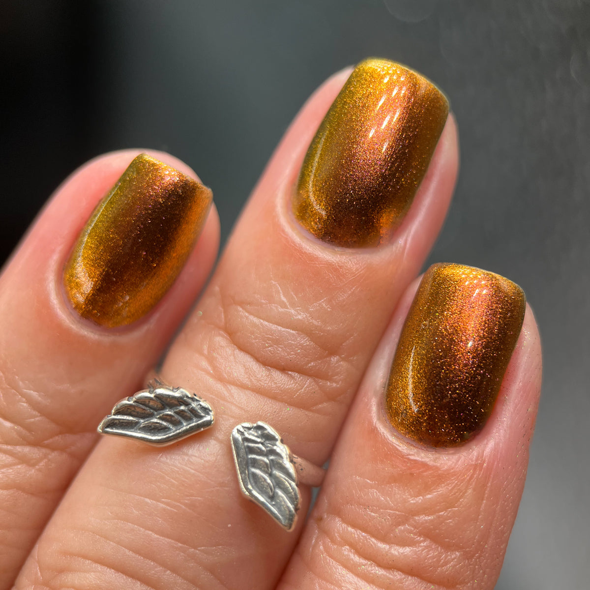 Phoenix- Hummingbirds- Rufous Hummingbird