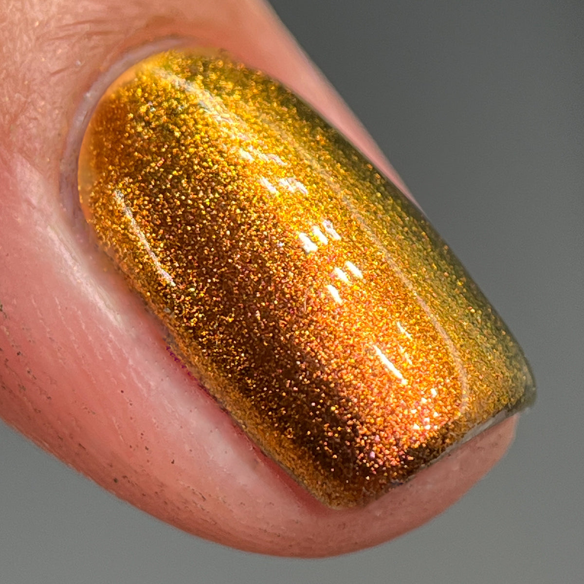 Phoenix- Hummingbirds- Rufous Hummingbird