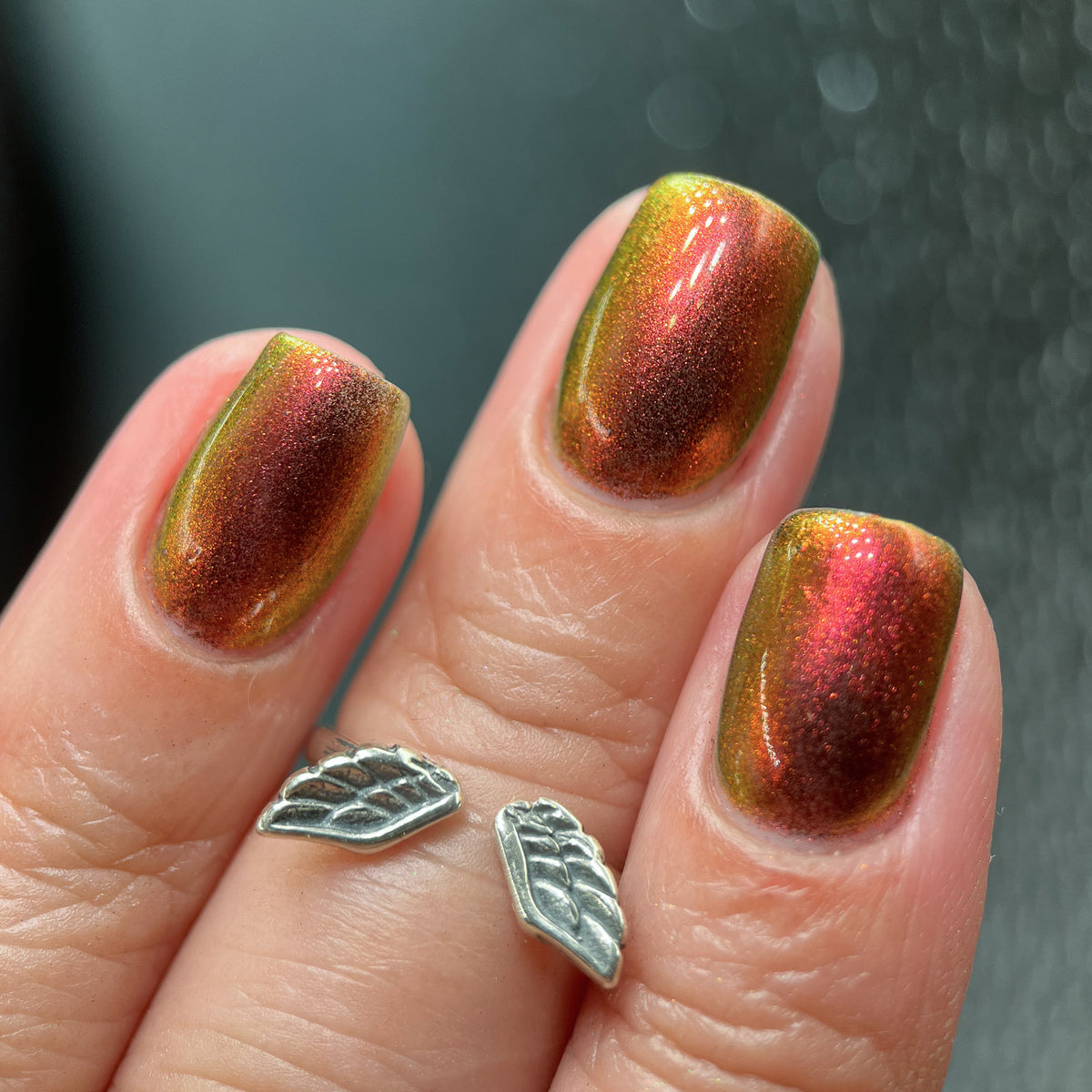 Phoenix- Hummingbirds- Stripe Tailed Hummingbird