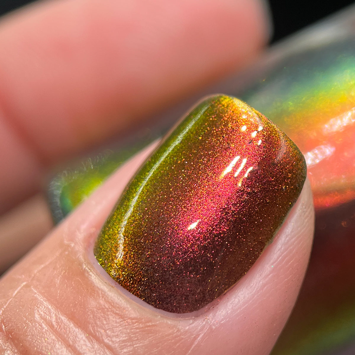 Phoenix- Hummingbirds- Stripe Tailed Hummingbird