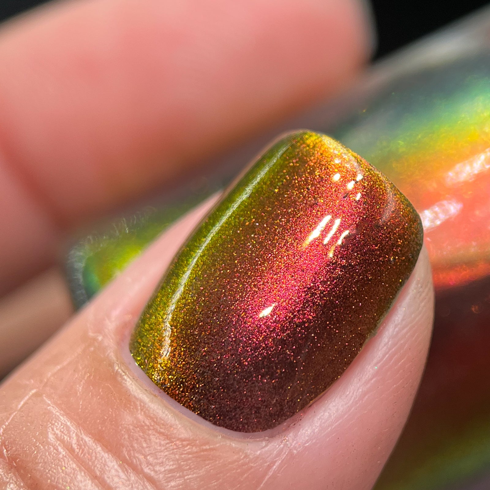 Phoenix- Hummingbirds- Stripe Tailed Hummingbird