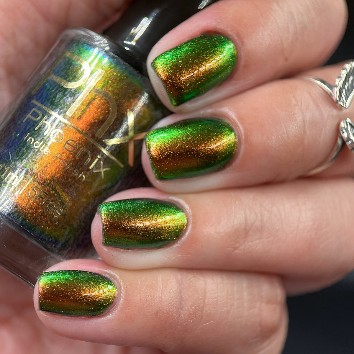 Phoenix- Hummingbirds- Ruby Throated Hummingbird