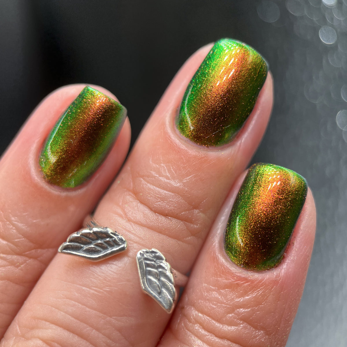 Phoenix- Hummingbirds- Ruby Throated Hummingbird