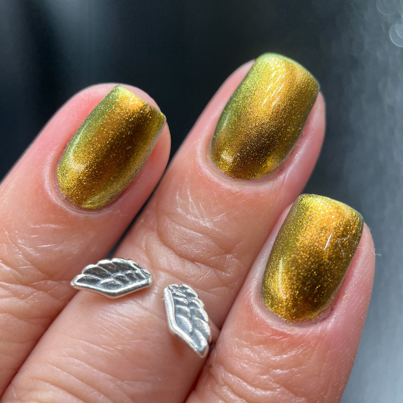 Phoenix- Hummingbirds- Golden Bellied Starfrontlet