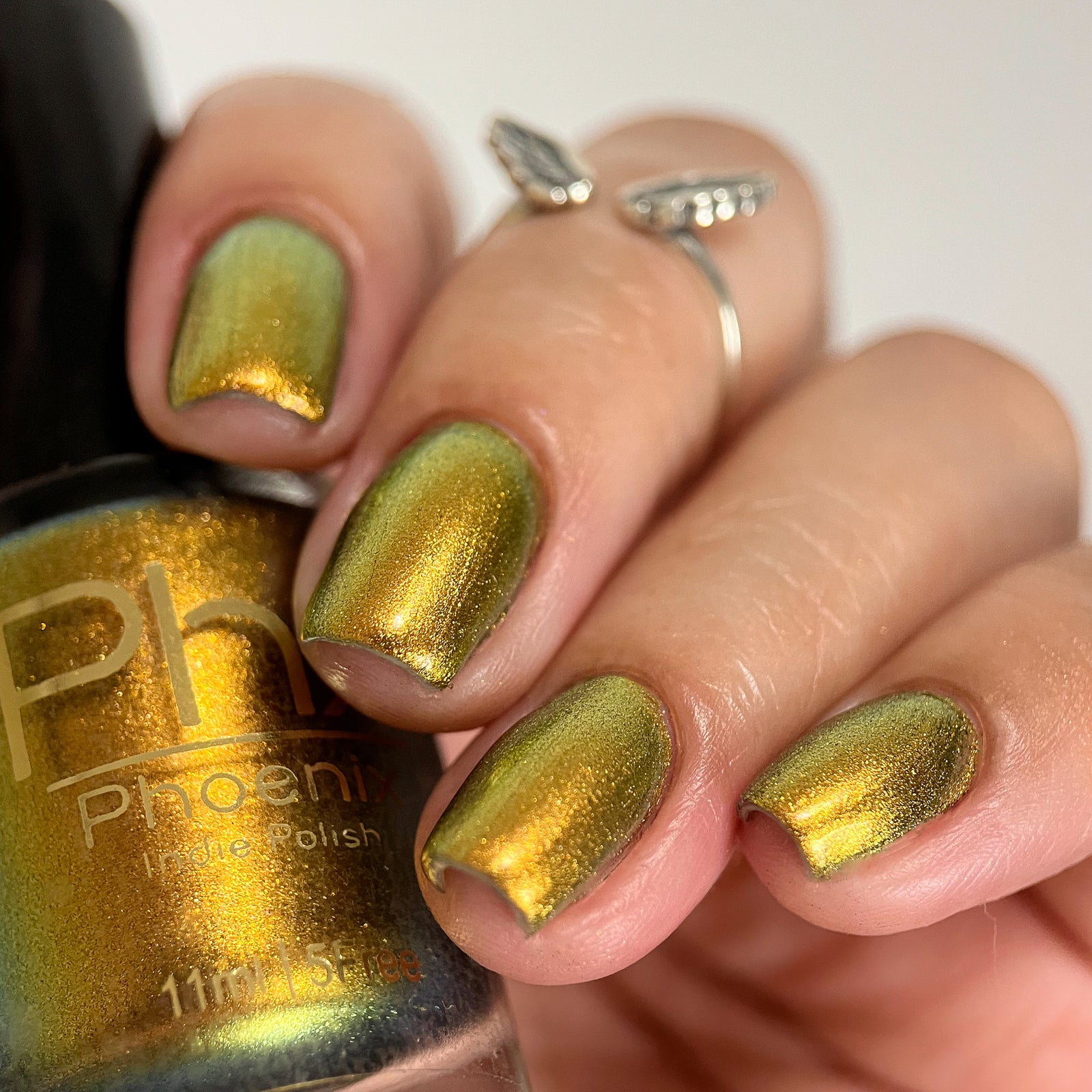 Phoenix- Hummingbirds- Golden Bellied Starfrontlet