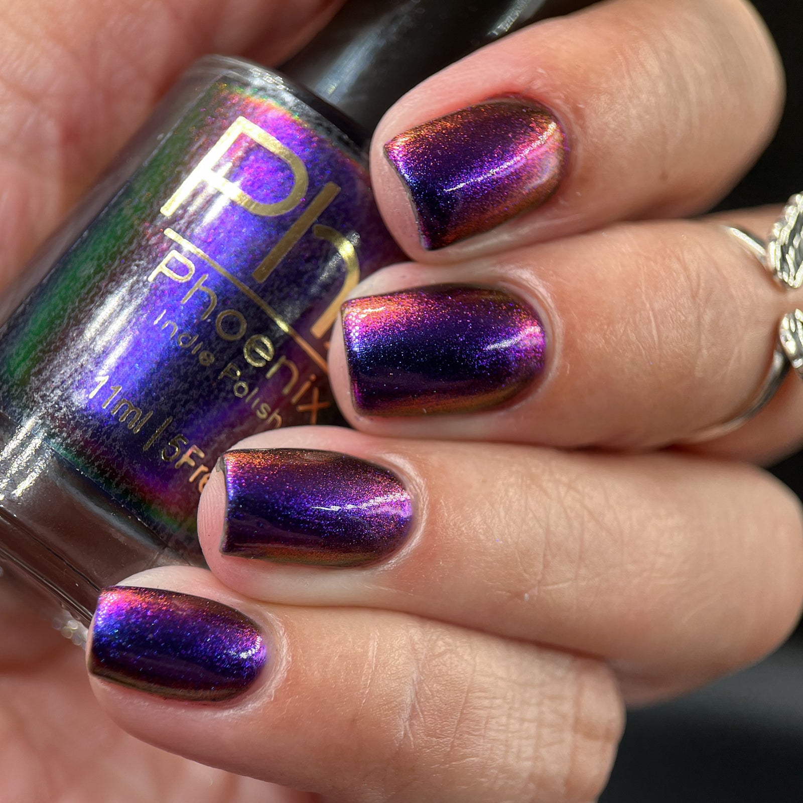 Phoenix- Hummingbirds- Garnet Throated Hummingbird