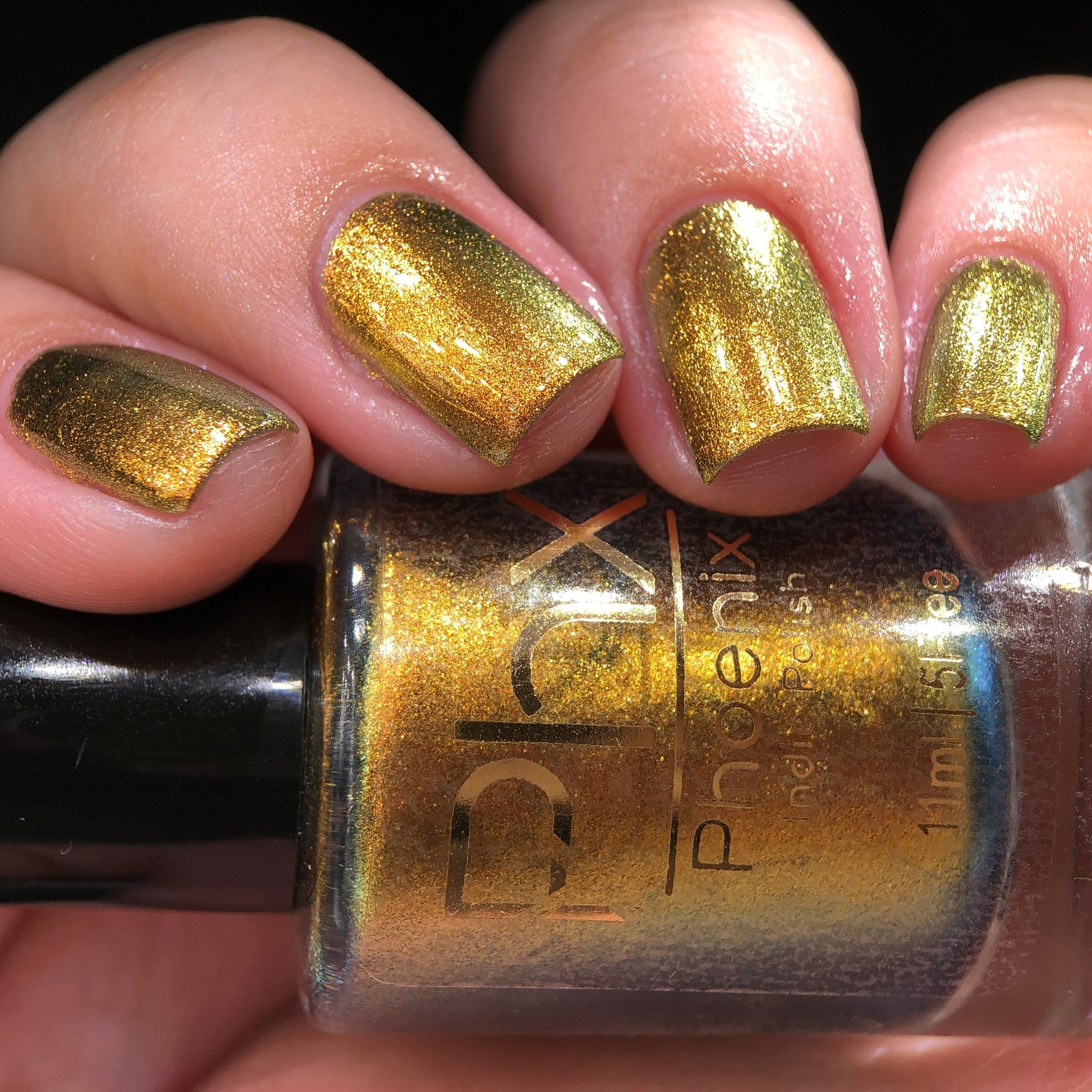 Phoenix- Hummingbirds- Golden Bellied Starfrontlet