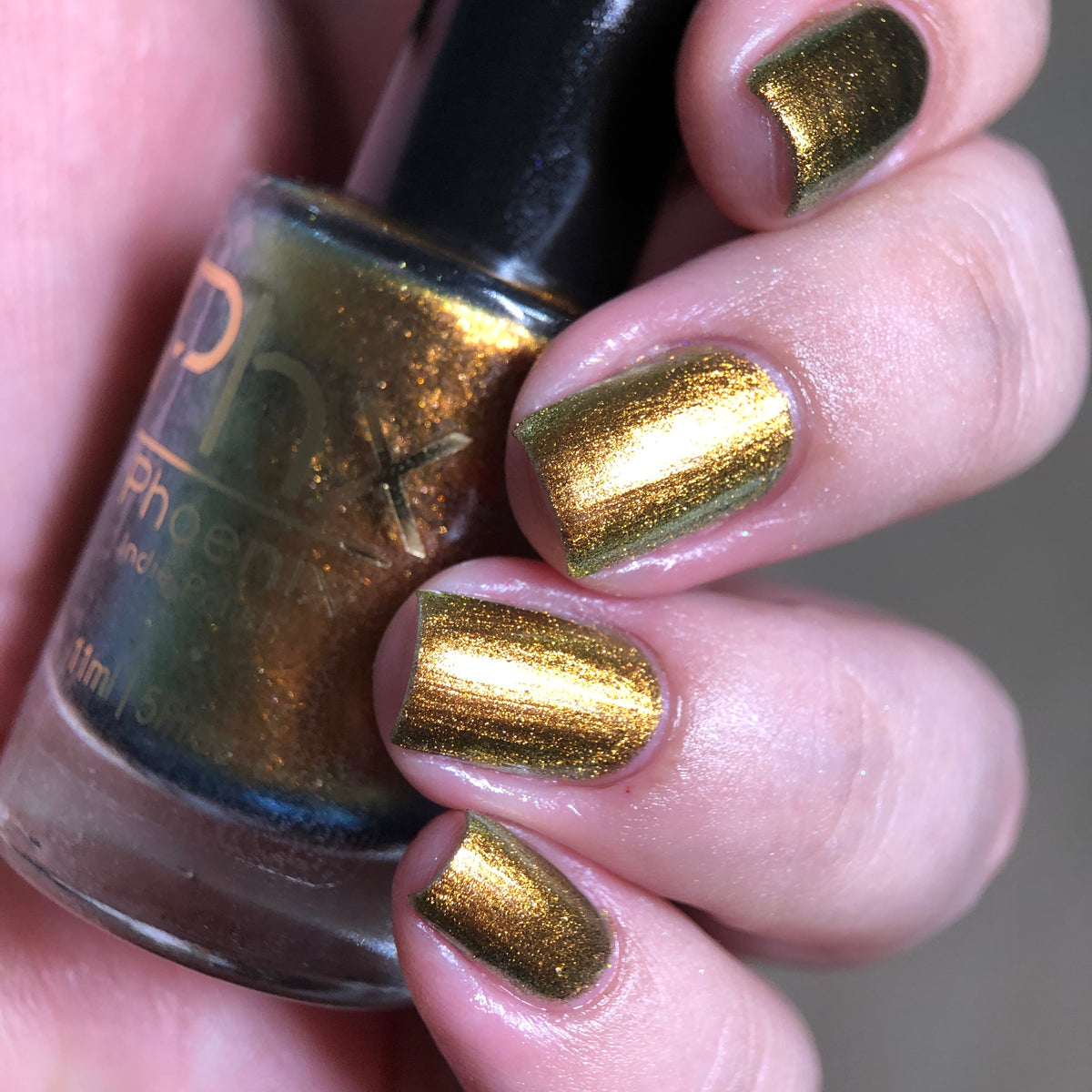 Phoenix- Hummingbirds- Golden Bellied Starfrontlet