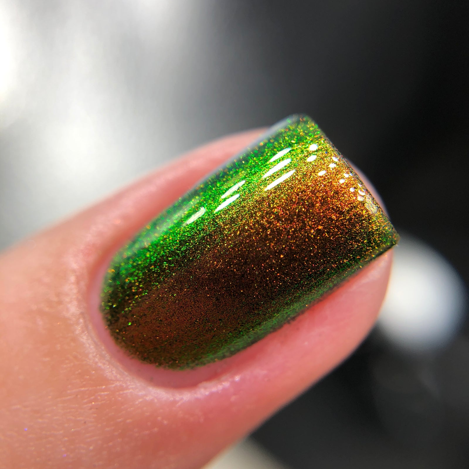 Phoenix- Hummingbirds- Ruby Throated Hummingbird