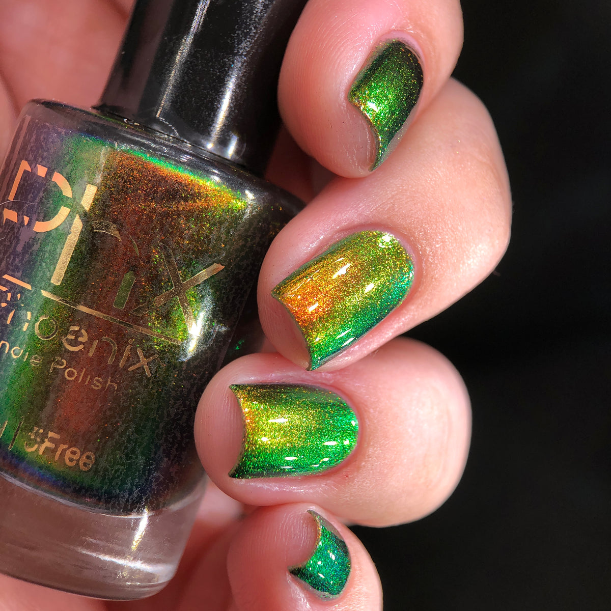 Phoenix- Hummingbirds- Ruby Throated Hummingbird