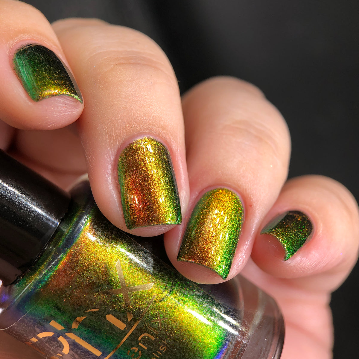 Phoenix- Hummingbirds- Ruby Throated Hummingbird