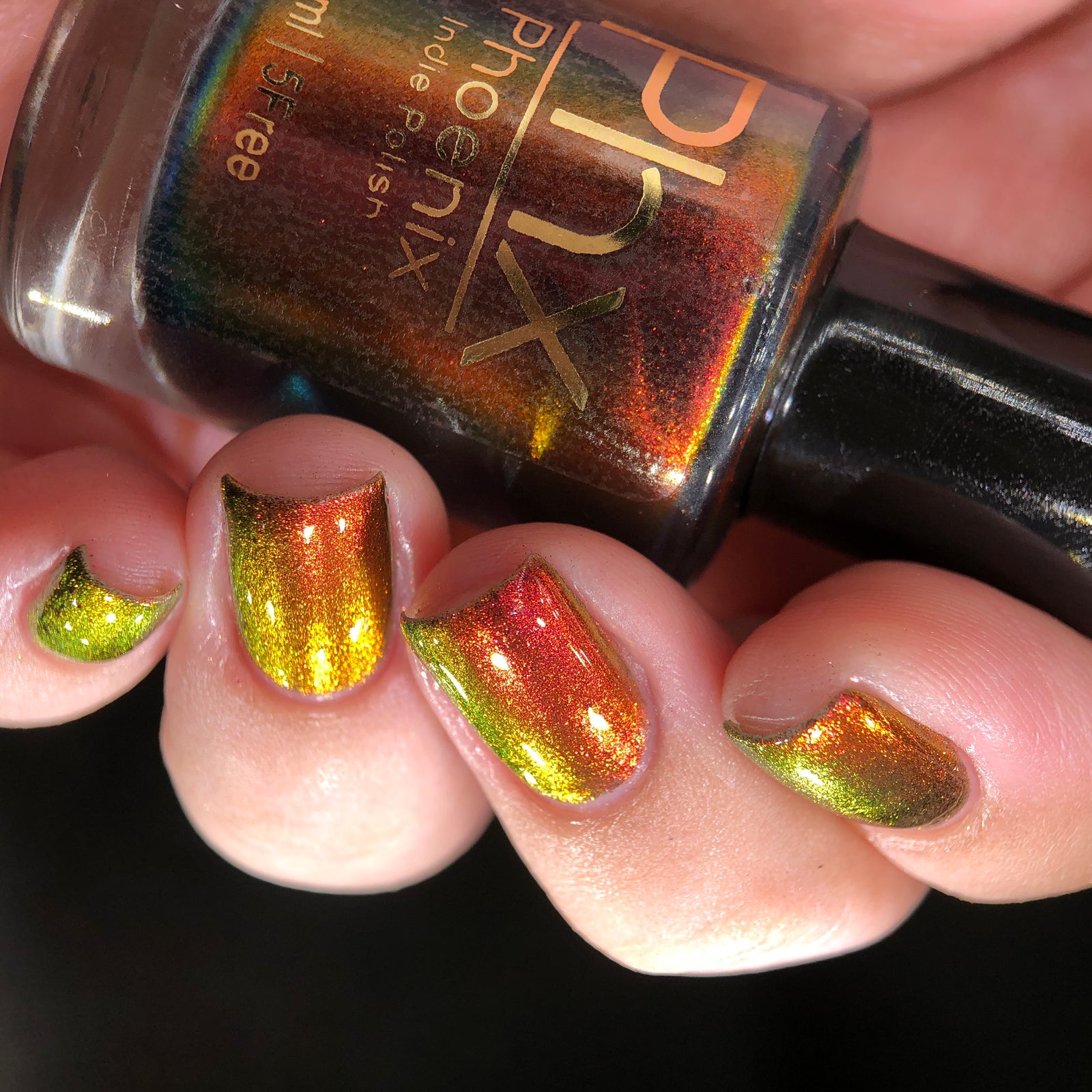 Phoenix- Hummingbirds- Stripe Tailed Hummingbird