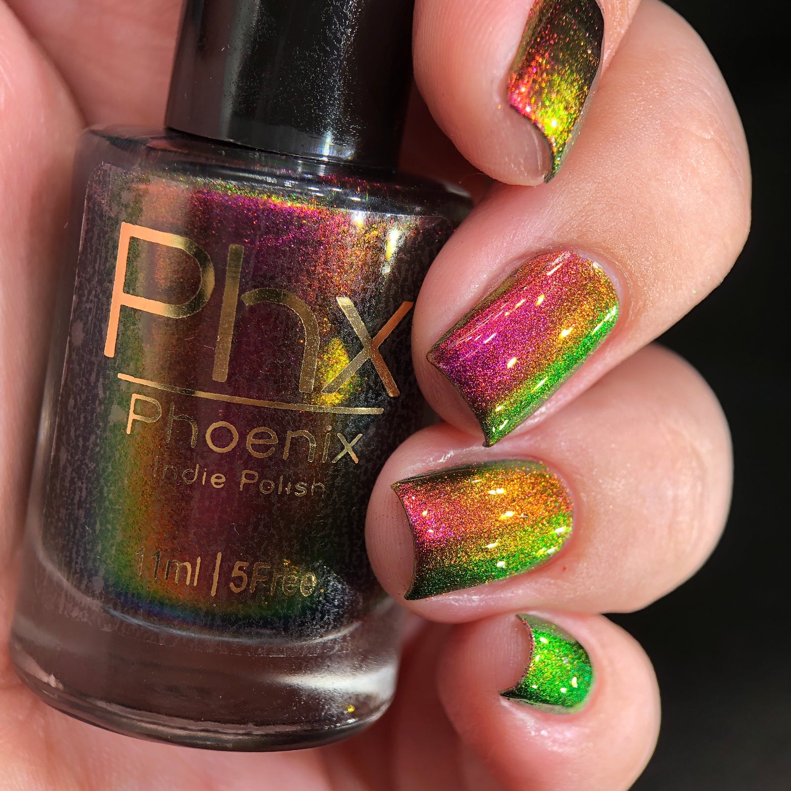 Phoenix- Hummingbirds- Broad Tiled Hummingbird