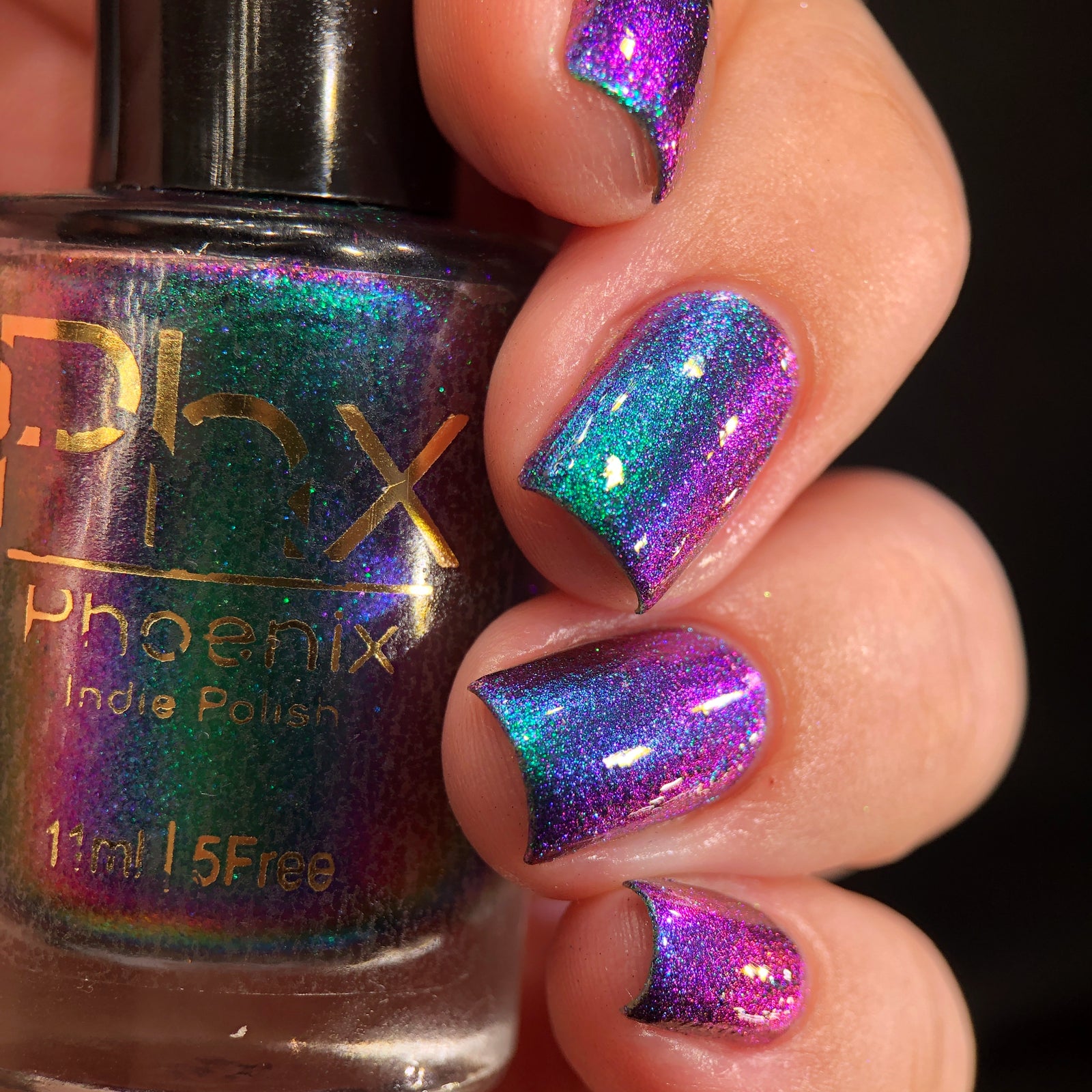 Phoenix- Hummingbirds- Violet Sabrewing Hummingbird