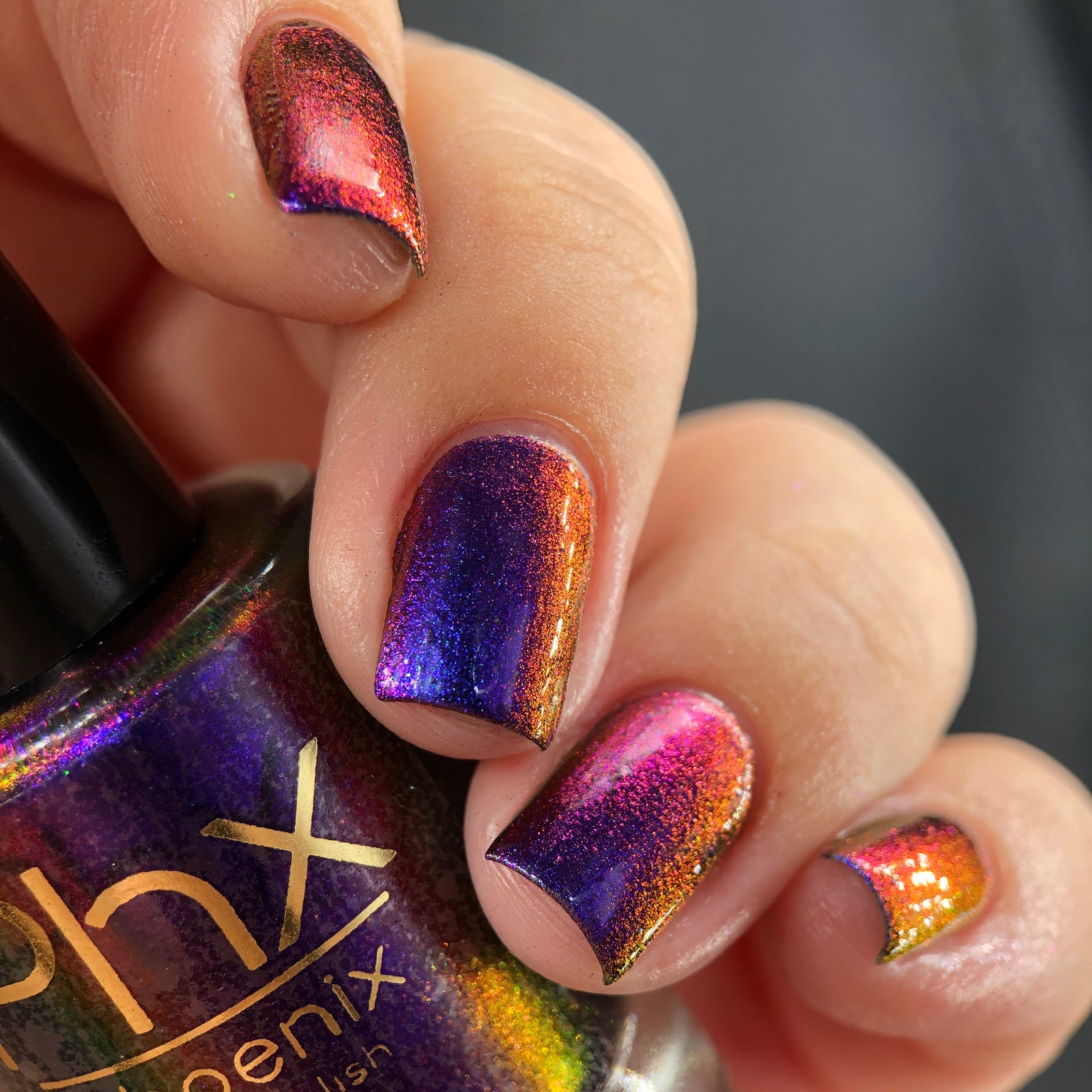 Phoenix- Hummingbirds- Garnet Throated Hummingbird