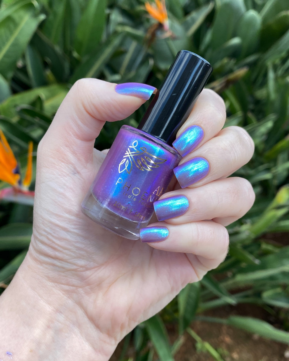 Phoenix- Paint the Town Red- Bella