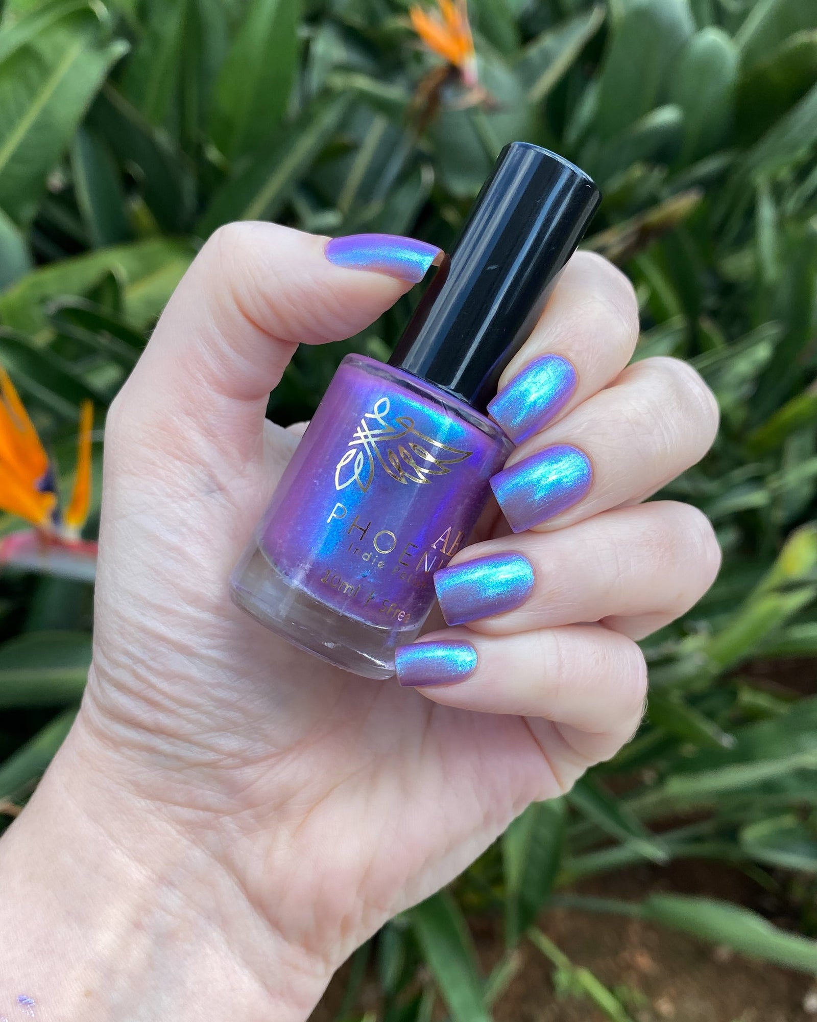 Phoenix- Paint the Town Red- Bella