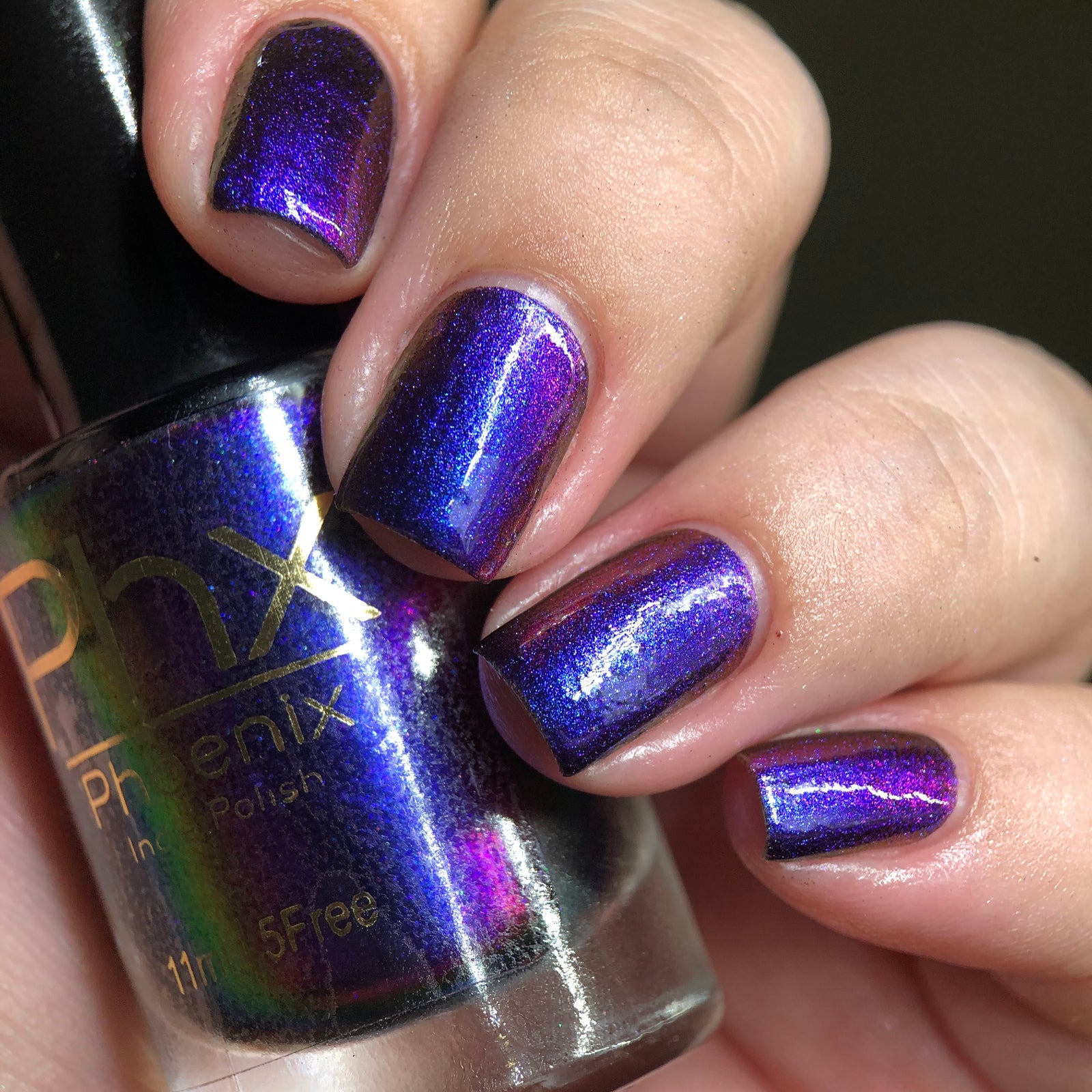 Phoenix- Hummingbirds- Garnet Throated Hummingbird