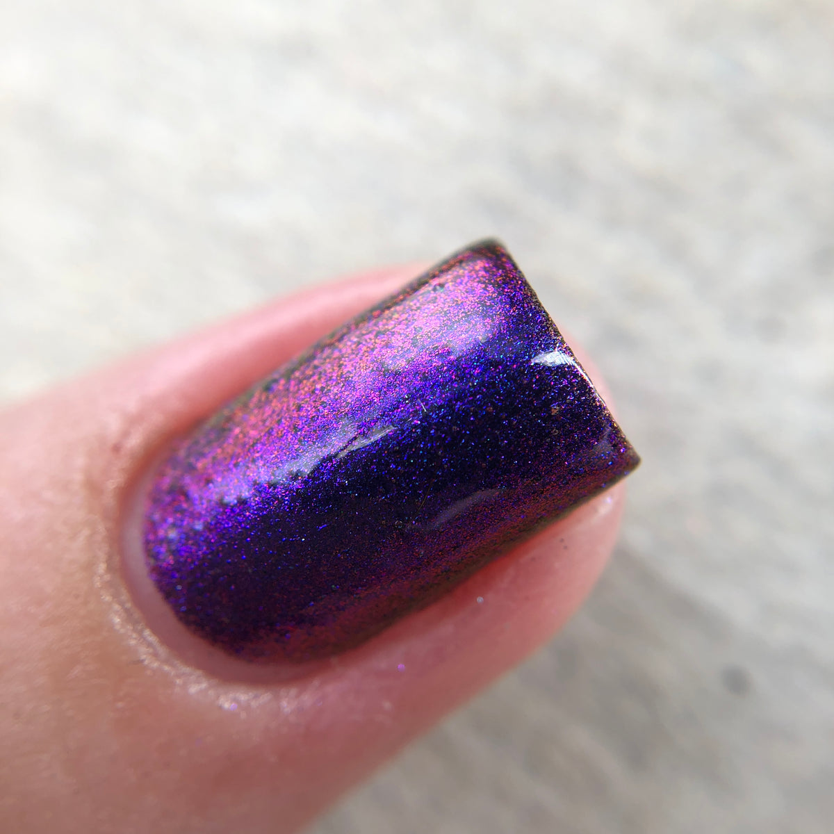 Phoenix- Hummingbirds- Garnet Throated Hummingbird