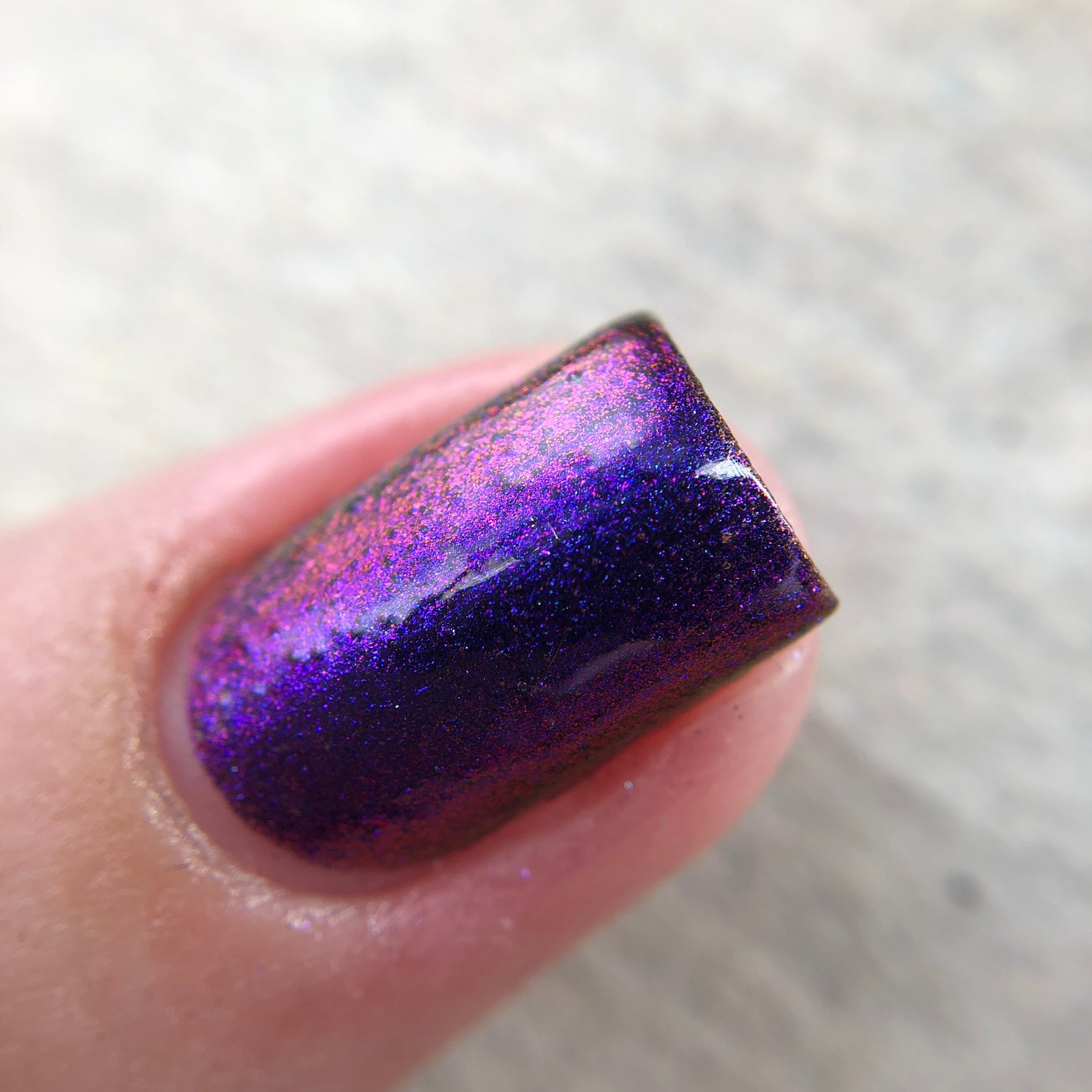 Phoenix- Hummingbirds- Garnet Throated Hummingbird