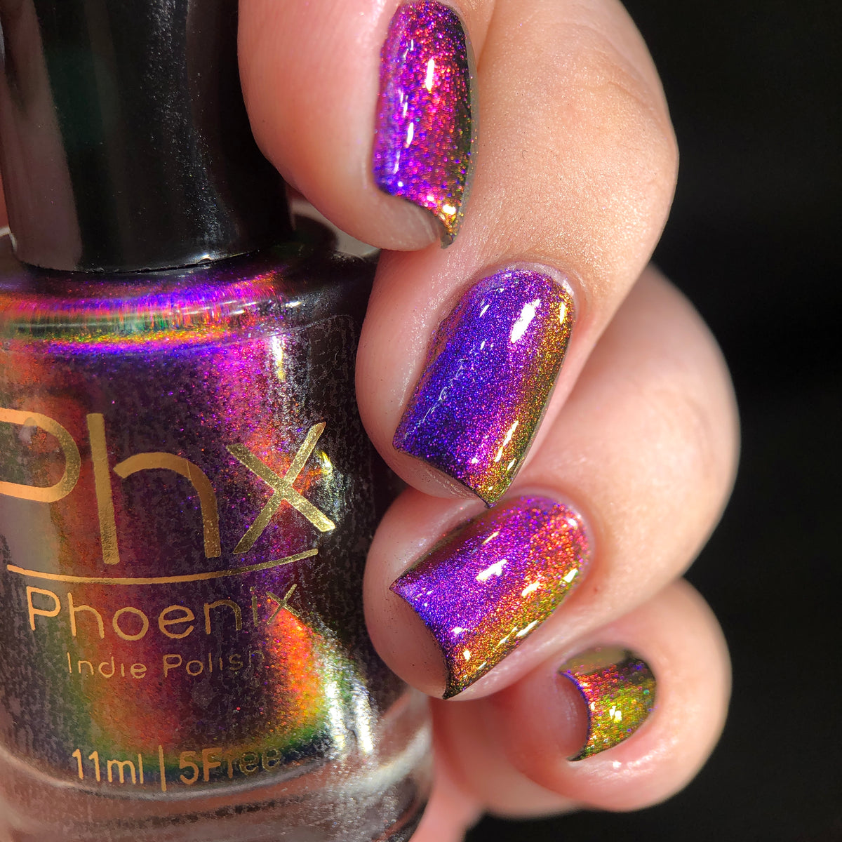 Phoenix- Hummingbirds- Costa&#39;s Hummingbird