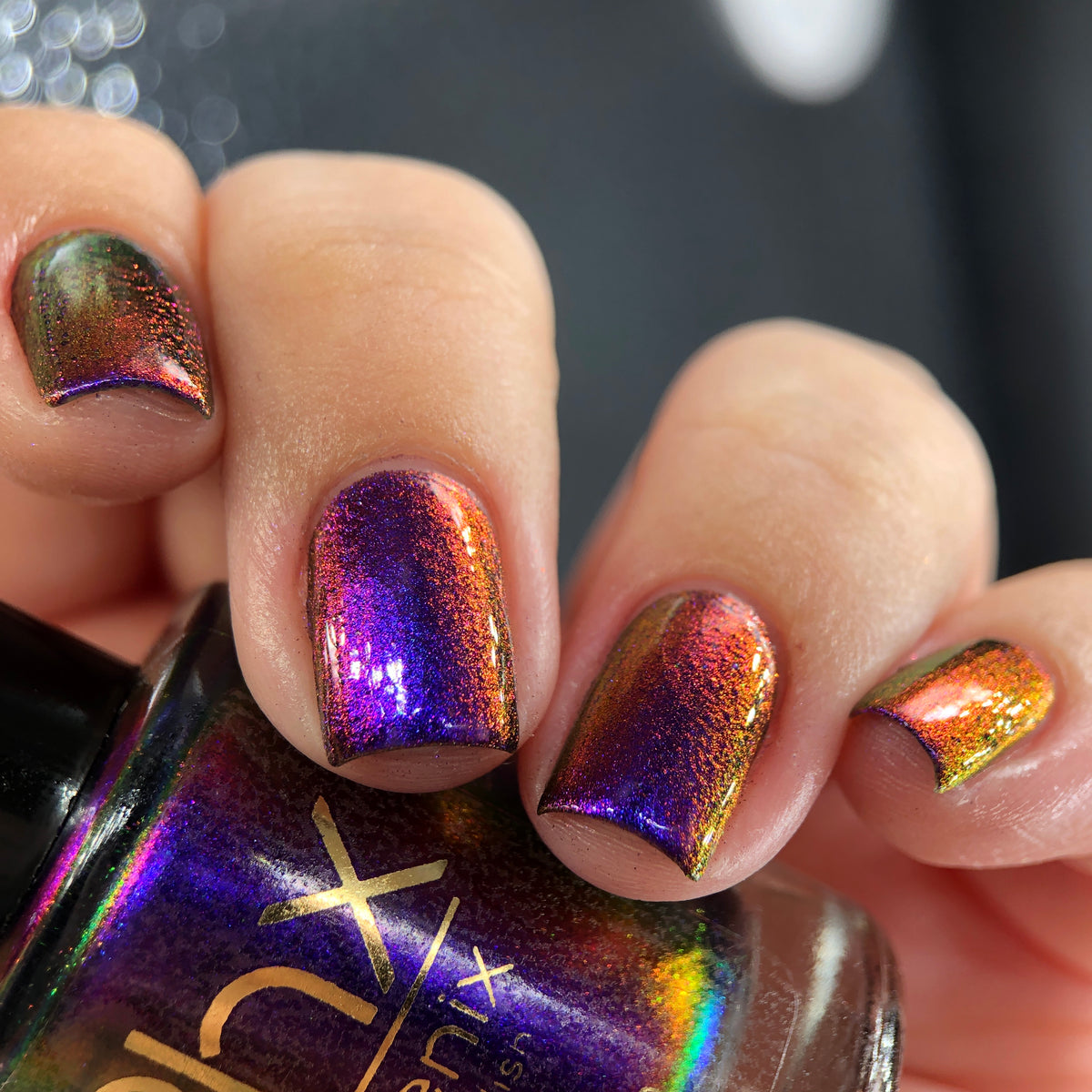 Phoenix- Hummingbirds- Costa&#39;s Hummingbird