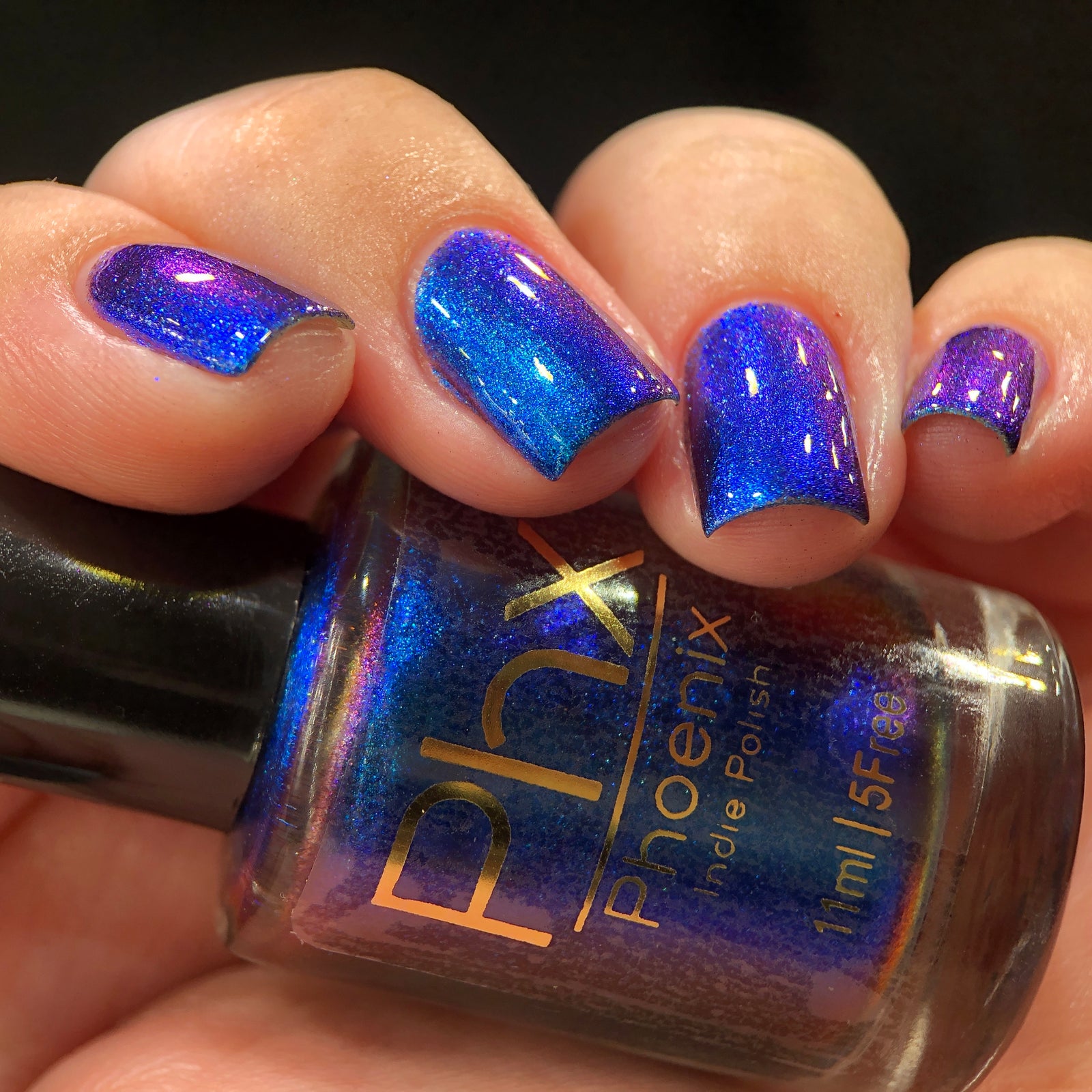 Phoenix- Hummingbirds- Florisuga Mellivora