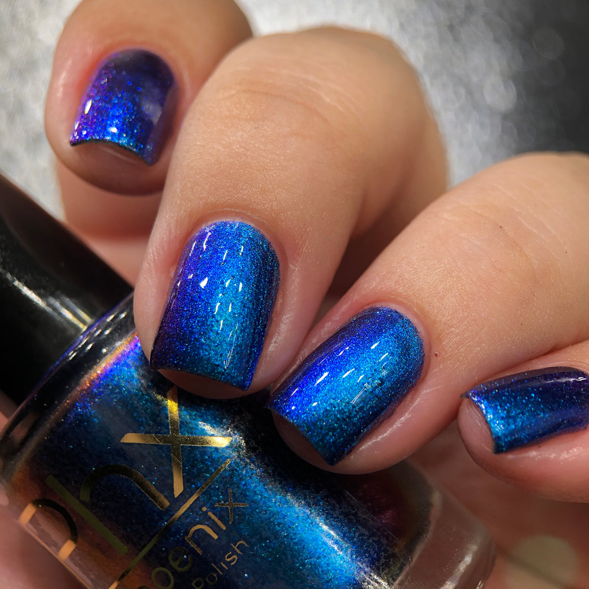 Phoenix- Hummingbirds- Florisuga Mellivora