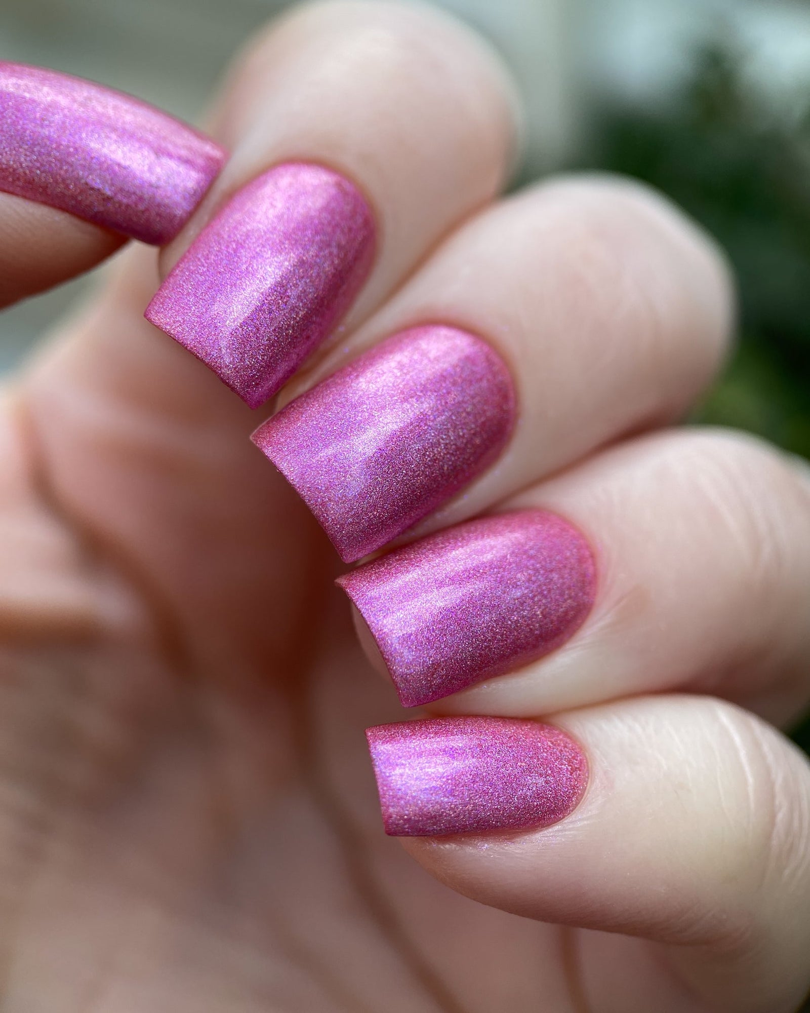 Phoenix- Paint the Town Red- Caroline