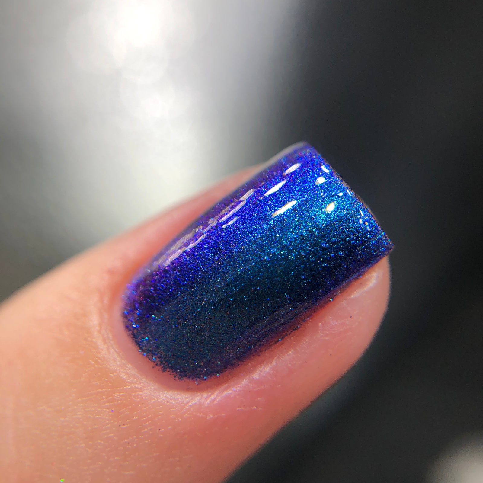 Phoenix- Hummingbirds- Florisuga Mellivora