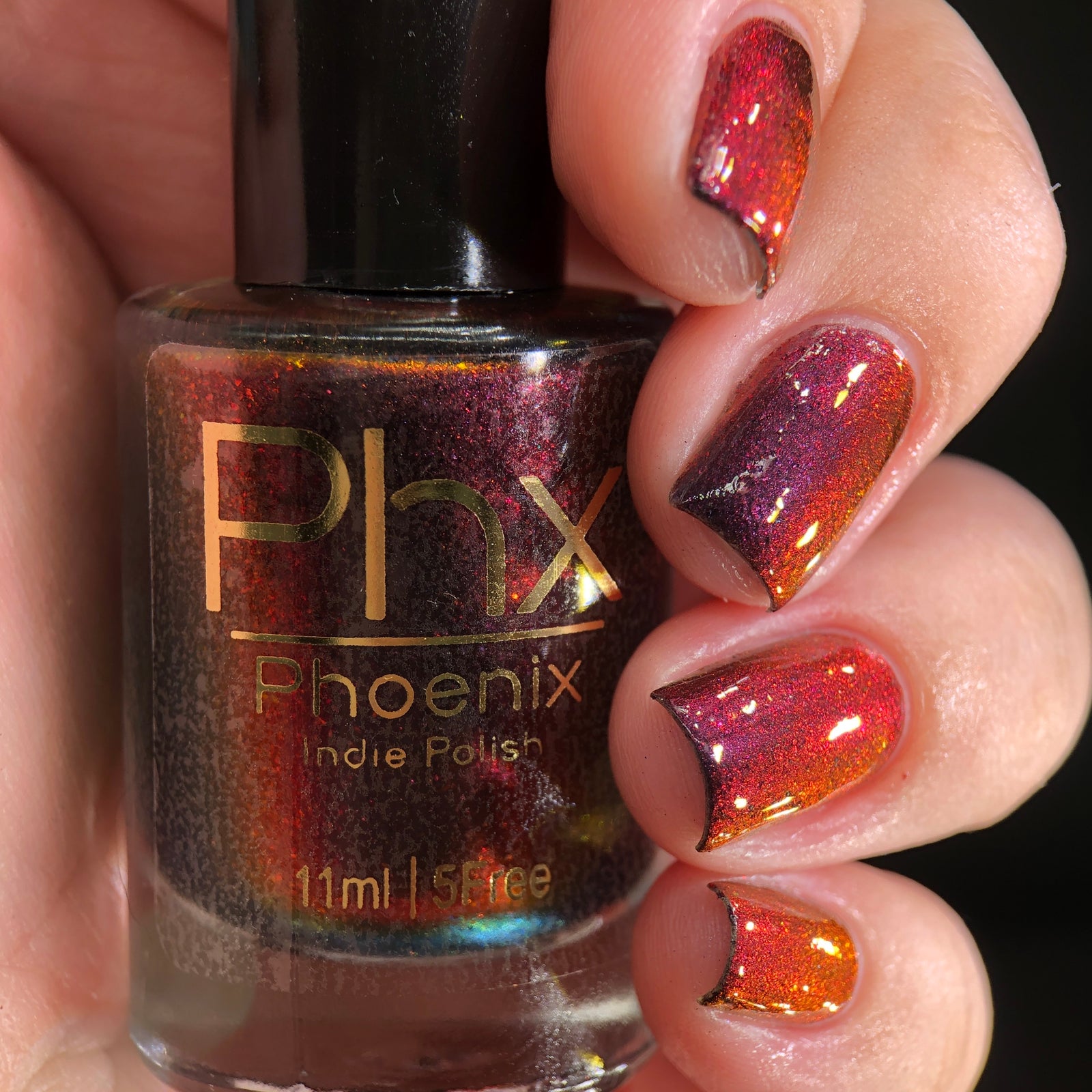 Phoenix- Hummingbirds- Florisuga Fusca