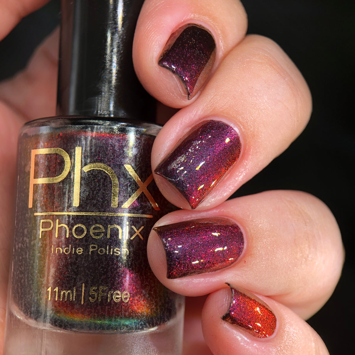 Phoenix- Hummingbirds- Florisuga Fusca