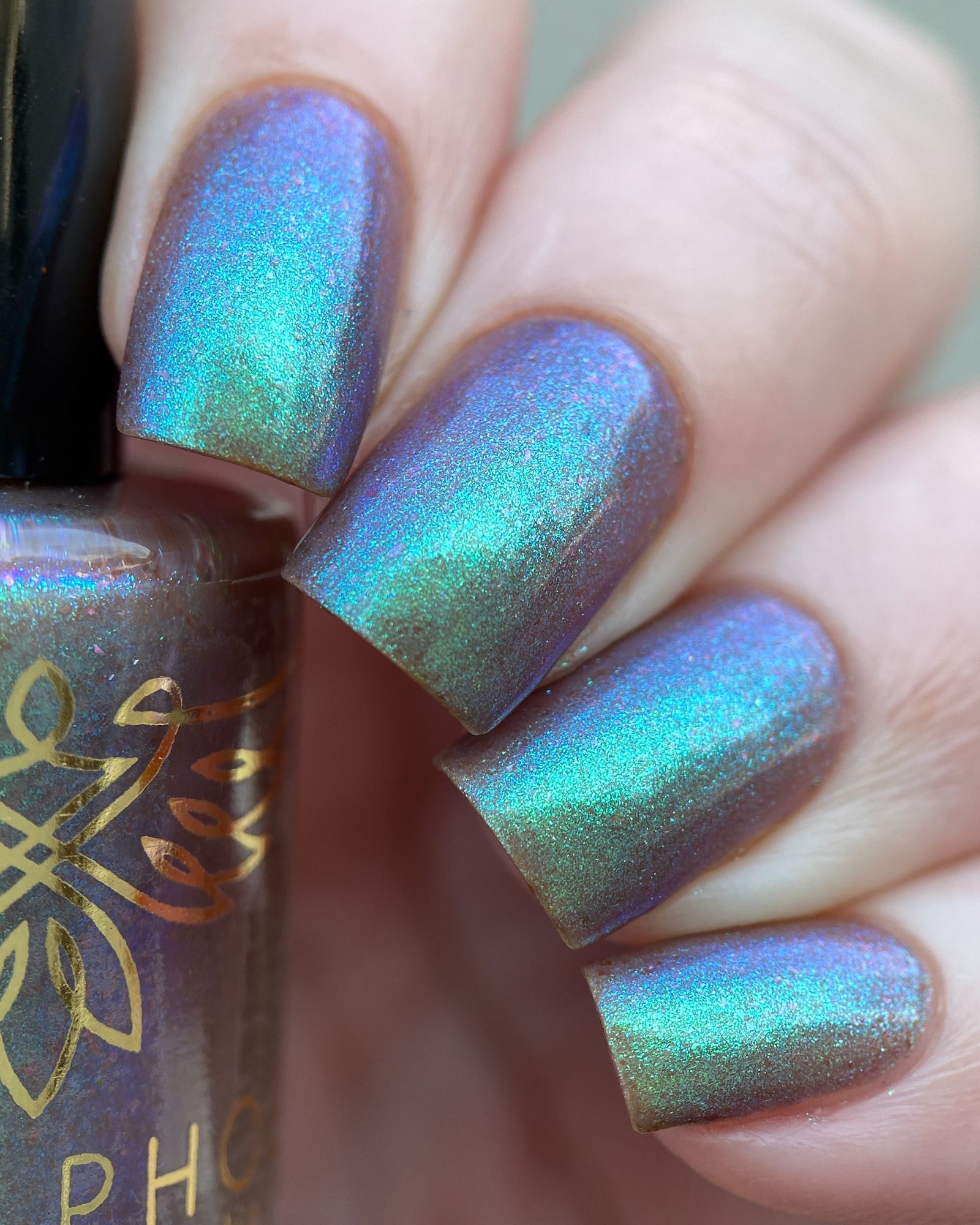 Phoenix- Paint the Town Red- Stefan