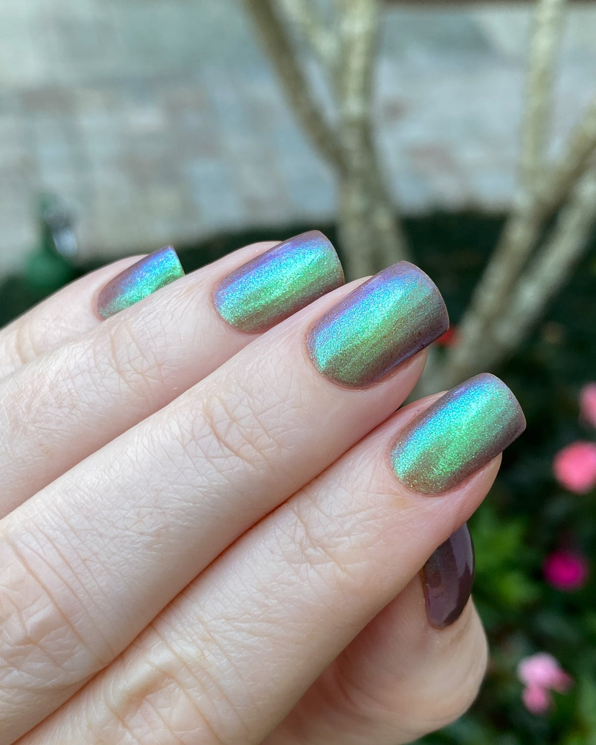 Phoenix- Paint the Town Red- Stefan